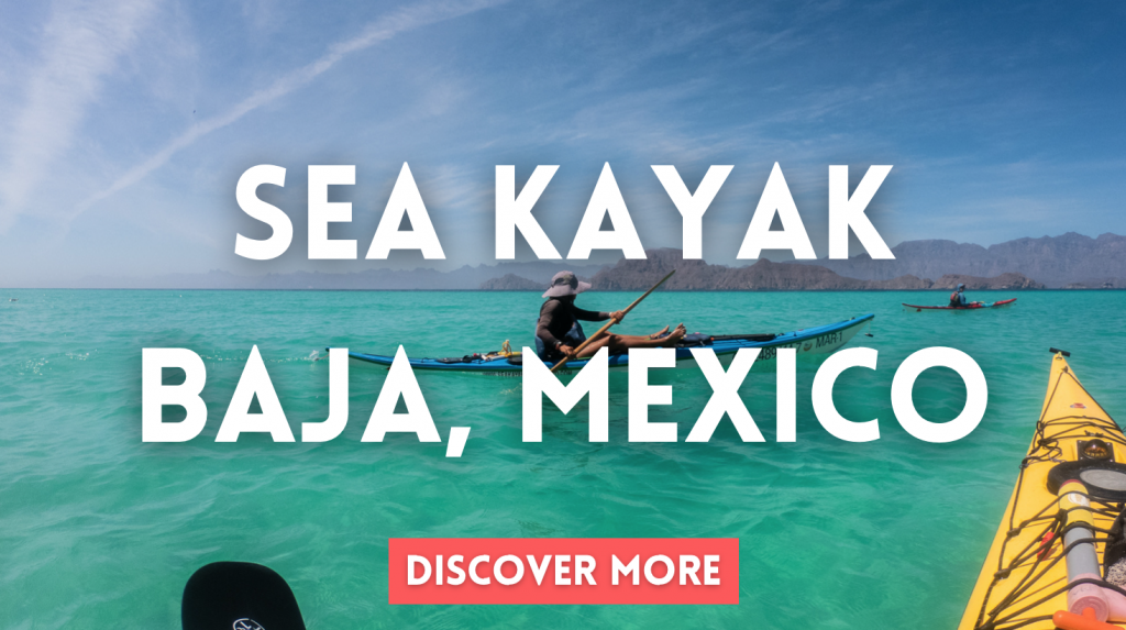 sea kayak baja mexico expedition 
