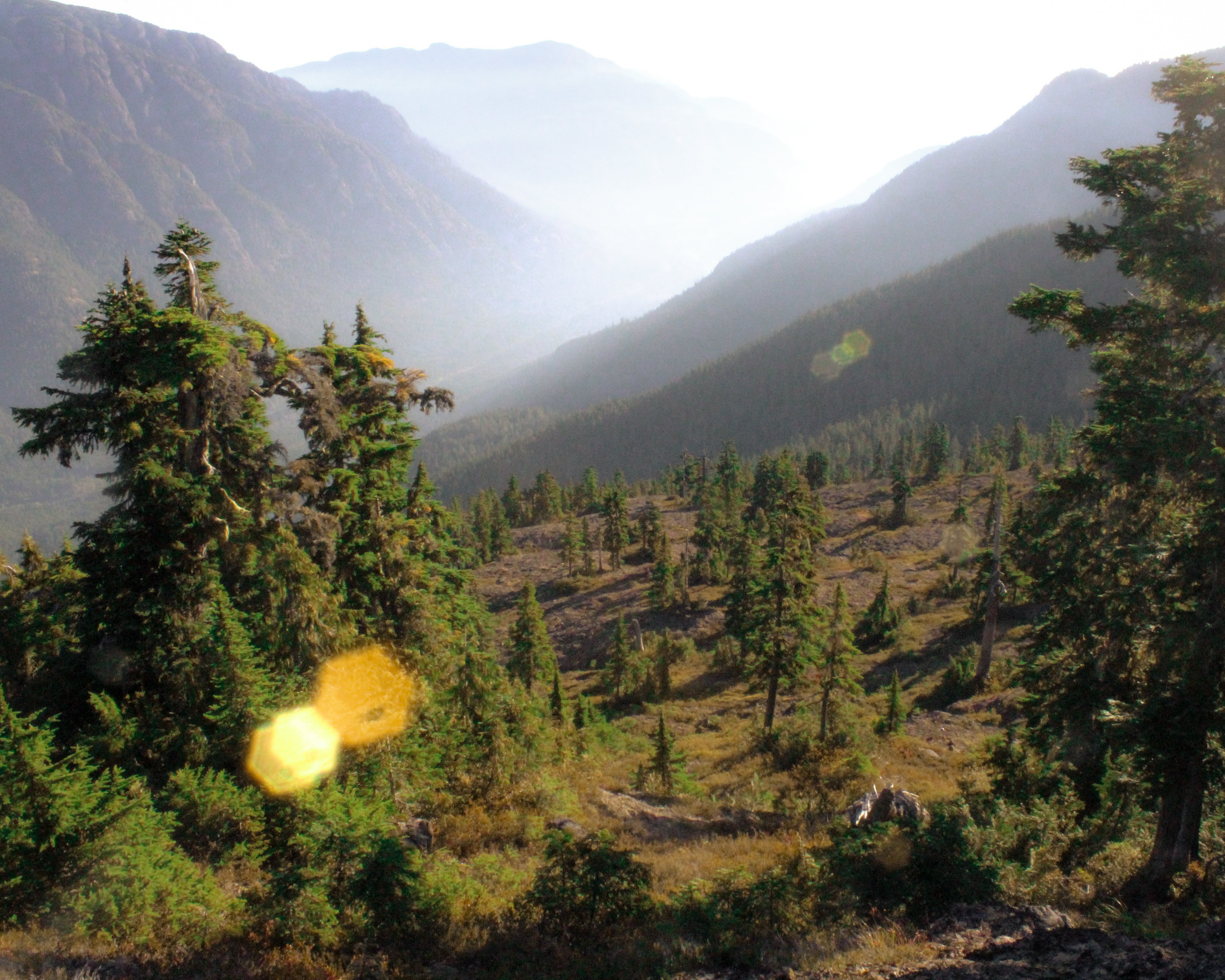 how not to get eaten by a bear in Canada