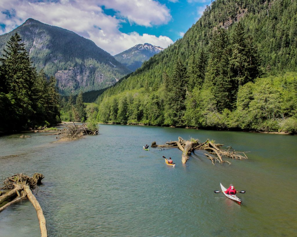 kayaking trips in British Columbia