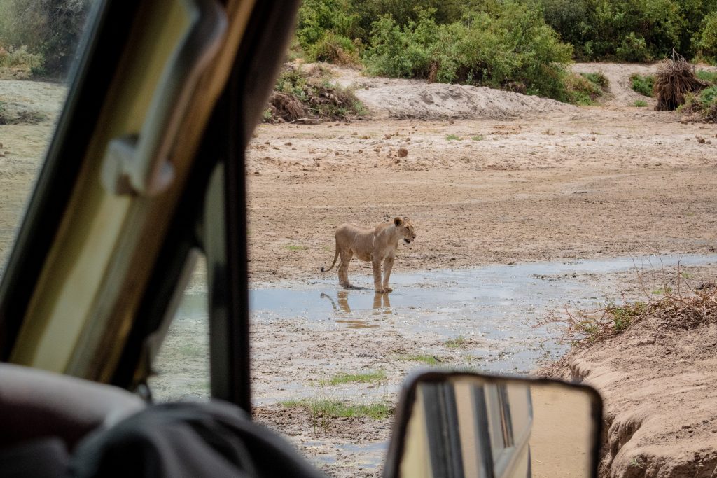 is it safe to travel in tanzania during covid 