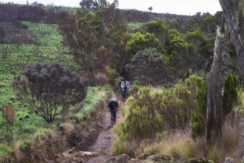 how difficult is climbing Kilimanjaro?