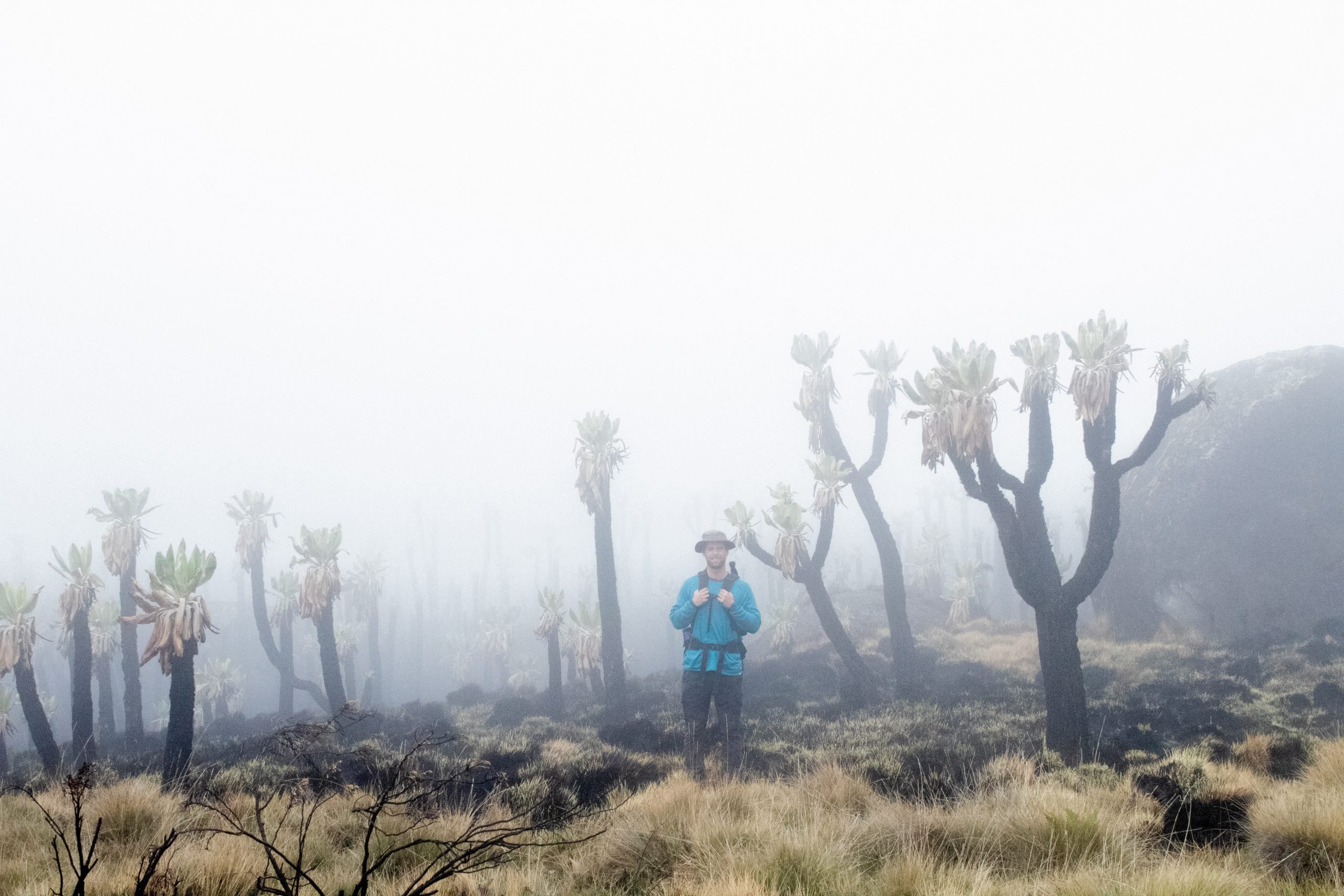 how fit do I need to be to hike kilimanjaro 