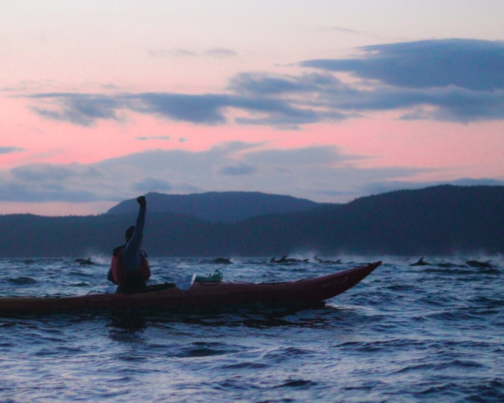sea kayak tours Vancouver island