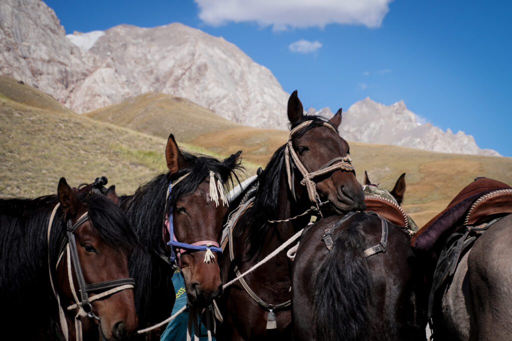 horse trek kyrgyzstan 