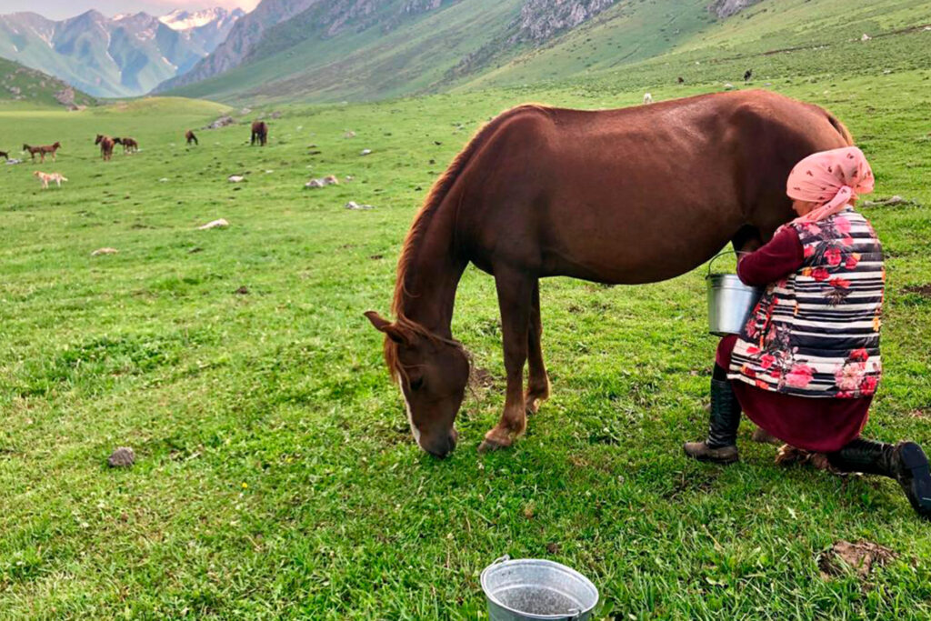 nomad Kyrgyzstan