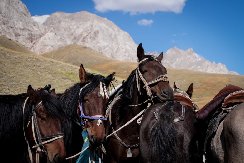 Kyrgyzstan horse trekking